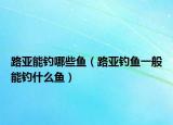 路亚能钓哪些鱼（路亚钓鱼一般能钓什么鱼）