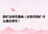 挖矿比特币是啥（比特币挖矿 什么是比特币）