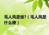 毛人风是谁?（毛人风是什么梗）