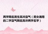 两字网名男生高冷霸气（男女通用的二字霸气网名高冷两字名字）
