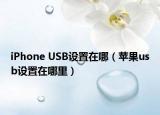 iPhone USB设置在哪（苹果usb设置在哪里）