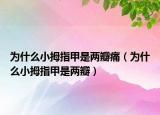 为什么小拇指甲是两瓣痛（为什么小拇指甲是两瓣）