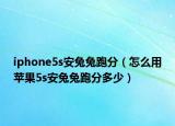 iphone5s安兔兔跑分（怎么用苹果5s安兔兔跑分多少）