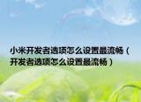 小米开发者选项怎么设置最流畅（开发者选项怎么设置最流畅）