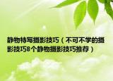 静物特写摄影技巧（不可不学的摄影技巧8个静物摄影技巧推荐）
