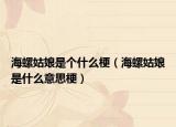 海螺姑娘是个什么梗（海螺姑娘是什么意思梗）