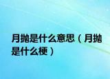 月抛是什么意思（月抛是什么梗）