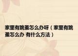 家里有跳蚤怎么办呀（家里有跳蚤怎么办 有什么方法）