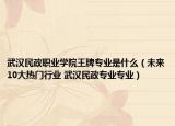 武汉民政职业学院王牌专业是什么（未来10大热门行业 武汉民政专业专业）
