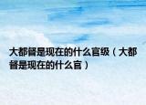 大都督是现在的什么官级（大都督是现在的什么官）