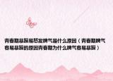 青春期暴躁易怒发脾气是什么原因（青春期脾气容易暴躁的原因青春期为什么脾气容易暴躁）