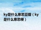 ky是什么意思豆瓣（ky是什么意思梗）
