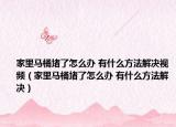 家里马桶堵了怎么办 有什么方法解决视频（家里马桶堵了怎么办 有什么方法解决）