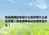 惟余莽莽的惟是什么意思有什么表达作用（惟余莽莽表达的意思是什么）