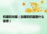 机瞄和光瞄（自瞄和机瞄是什么意思）
