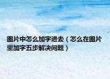 图片中怎么加字进去（怎么在图片里加字五步解决问题）