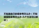不知道自己的保单号怎么办（不知道保险单号怎么办 几个方法可以解决）