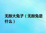 无敌大兔子（无敌兔是什么）