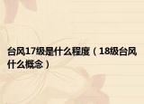 台风17级是什么程度（18级台风什么概念）
