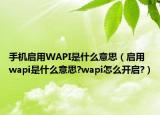 手机启用WAPI是什么意思（启用wapi是什么意思?wapi怎么开启?）
