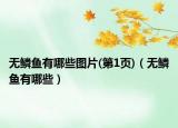 无鳞鱼有哪些图片(第1页)（无鳞鱼有哪些）