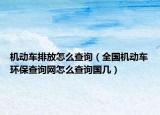 机动车排放怎么查询（全国机动车环保查询网怎么查询国几）