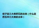 啥子是三大类岩石的主体（什么是岩石中三大类的主体）