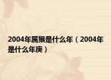 2004年属猴是什么年（2004年是什么年庚）
