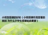 小班型授课的好处（小班授课作用显著的原因 为什么少学生授课如此重要）