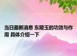 当日最新消息 东陵玉的功效与作用 具体介绍一下