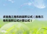 求直角三角形的面积公式（直角三角形面积公式计算公式）