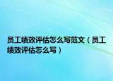 员工绩效评估怎么写范文（员工绩效评估怎么写）
