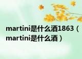 martini是什么酒1863（martini是什么酒）