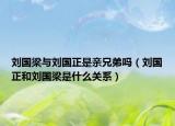 刘国梁与刘国正是亲兄弟吗（刘国正和刘国梁是什么关系）