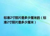 标准2寸照片是多少厘米的（标准2寸照片是多少厘米）