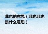非也的意思（非也非也是什么意思）
