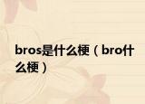 bros是什么梗（bro什么梗）