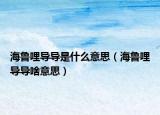 海鲁哩导导是什么意思（海鲁哩导导啥意思）
