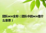 团队ace全称（团队中的ace是什么意思）