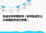 乱码文件修复软件（软件乱码怎么办使用软件进行修复）