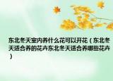 东北冬天室内养什么花可以开花（东北冬天适合养的花卉东北冬天适合养哪些花卉）