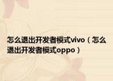 怎么退出开发者模式vivo（怎么退出开发者模式oppo）
