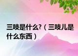 三吱是什么?（三吱儿是什么东西）