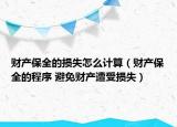 财产保全的损失怎么计算（财产保全的程序 避免财产遭受损失）