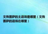 文殊菩萨的主道场是哪里（文殊菩萨的道场在哪里）