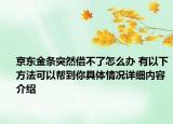 京东金条突然借不了怎么办 有以下方法可以帮到你具体情况详细内容介绍