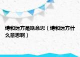 诗和远方是啥意思（诗和远方什么意思啊）