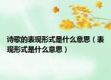 诗歌的表现形式是什么意思（表现形式是什么意思）