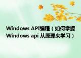 Windows API编程（如何掌握Windows api 从原理来学习）