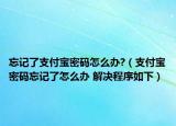 忘记了支付宝密码怎么办?（支付宝密码忘记了怎么办 解决程序如下）